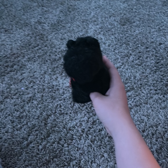 A little stuffed dog really cute - Picture 2 of 3